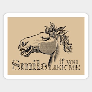 Vintage Horse Smile Sticker